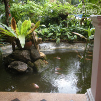 фото из отзыва ID 1773813