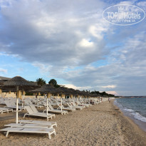 фото из отзыва ID 1773901