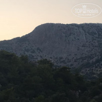 фото из отзыва ID 1773957