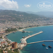 фото из отзыва ID 1774052