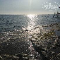 фото из отзыва ID 1774083