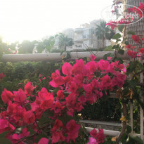 фото из отзыва ID 1774083