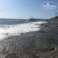 фото из отзыва ID 1774083