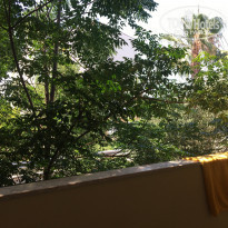 фото из отзыва ID 1774090