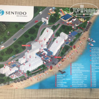 фото из отзыва ID 1774105