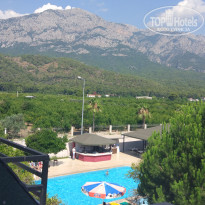 фото из отзыва ID 1774109