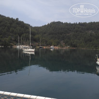 фото из отзыва ID 1774112