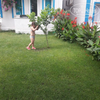 фото из отзыва ID 1774254