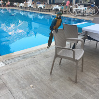 фото из отзыва ID 1774254