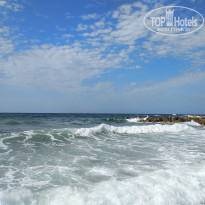 фото из отзыва ID 1774271