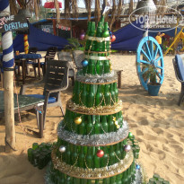 фото из отзыва ID 1774266