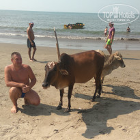 фото из отзыва ID 1774266