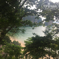 фото из отзыва ID 1774418