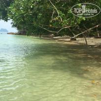 фото из отзыва ID 1774418