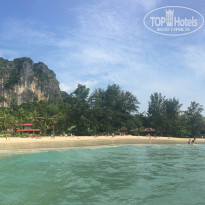 фото из отзыва ID 1774418