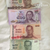 фото из отзыва ID 1774418