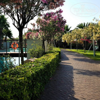 фото из отзыва ID 1774617