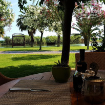 фото из отзыва ID 1774617