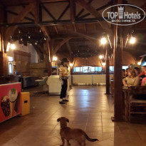 фото из отзыва ID 1774632