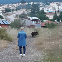 фото из отзыва ID 1774632