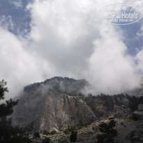 фото из отзыва ID 1774632