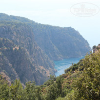 фото из отзыва ID 1774632