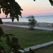 фото из отзыва ID 1774715