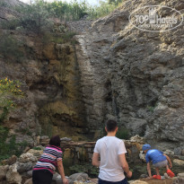 фото из отзыва ID 1774851