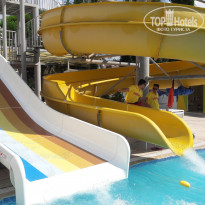 фото из отзыва ID 1774846