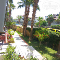 фото из отзыва ID 1774989