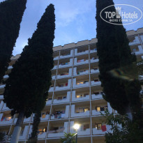 фото из отзыва ID 1774998