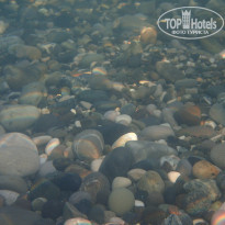 фото из отзыва ID 1774998