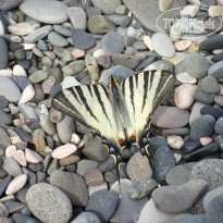 фото из отзыва ID 1774998