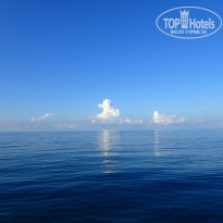 фото из отзыва ID 1774998