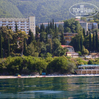 фото из отзыва ID 1774998