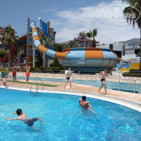 фото из отзыва ID 1774498