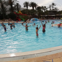 фото из отзыва ID 1775027