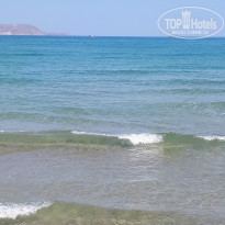 фото из отзыва ID 1775092