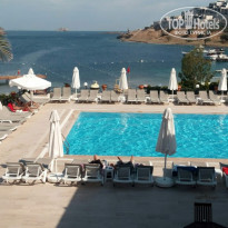 фото из отзыва ID 1775192