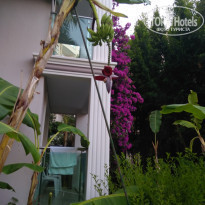 фото из отзыва ID 1775195