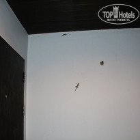 фото из отзыва ID 1775242