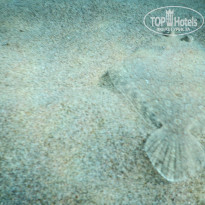 фото из отзыва ID 1774834