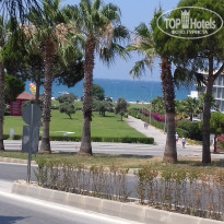 фото из отзыва ID 1774938