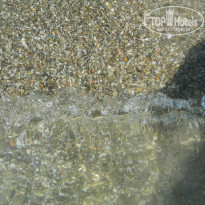 фото из отзыва ID 1774938