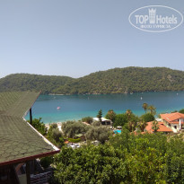 фото из отзыва ID 1775319