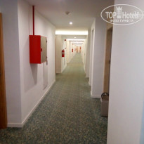 фото из отзыва ID 1775374