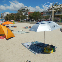 фото из отзыва ID 1775374