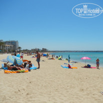 фото из отзыва ID 1775374