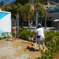 фото из отзыва ID 1775374