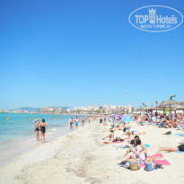 фото из отзыва ID 1775374